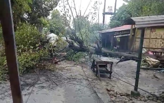 hujan_deras_pohon_tumbang_menutup_jalan_desa_di_deli_serdang