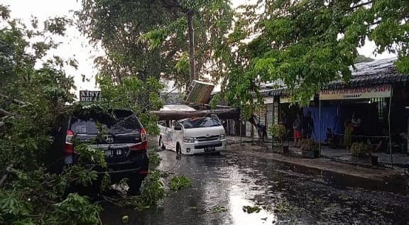 hujan_deras_pohon_tumbang_timpa_dua_mobil_di_medan