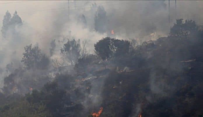 hutan_di_texas_terbakar_tewaskan_orang_dan_185_km_jaringan_listrik_rusak