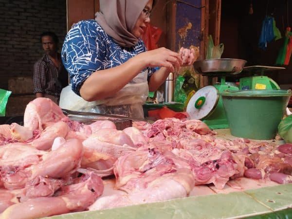 ikan_kosong_harga_daging_ayam_naik_turun_di_siantar