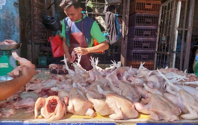 ini_faktor_pemicu_harga_daging_ayam_di_medan_fluktuatif