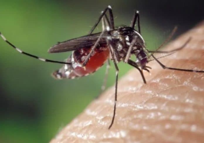 ini_obat_yang_harus_dihindari_saat_rawat_pasien_dengue_di_rumah