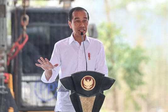 ini_pertimbangan_presiden_jokowi_pilih_nawawi_pomolango_gantikan_firli_bahuri