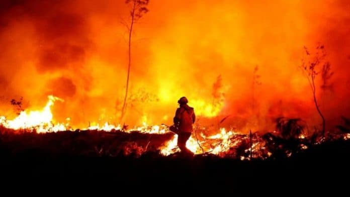 italia_diterjang_gelombang_panas_suhu_mencapai_40_derajat_celsius