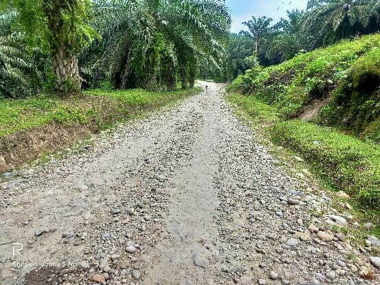 jalan_alternatif_simpang_raya_ke_danau_toba_minta_diperbaiki