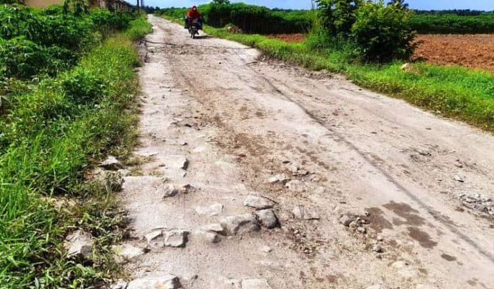 jalan_menuju_pulo_sarana_rusak_parah_dan_butuh_perbaikan_dari_pemkab_simalungun