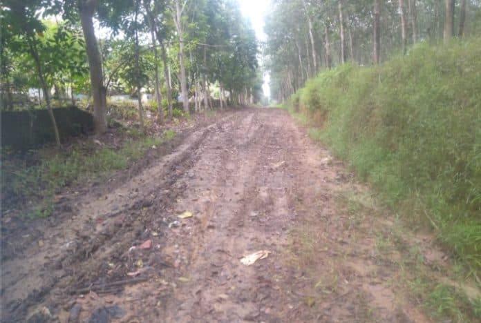 jalan_menuju_tpu_timbang_deli_galang_berlumpur_dan_rusak_parah