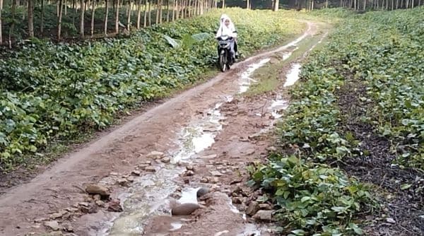 jalan_penghubung_dua_desa_di_sergai_luput_perhatian_pemerintah
