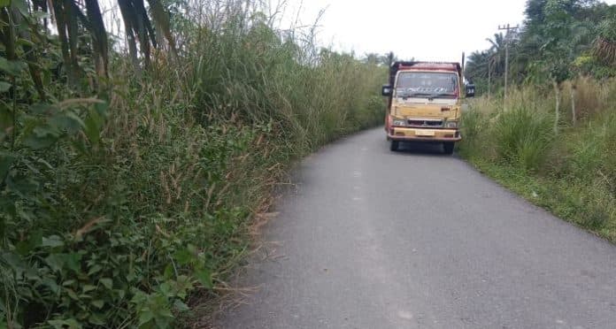 jalan_penghubung_dua_kecamatan_di_palas_dipenuhi_semak_belukar