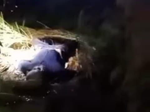 jasad_ditemukan_di_persawahan_desa_saentis_kepala_dan_tangan_sudah_jadi_tengkorak