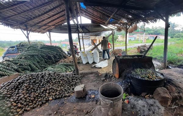jelang_bulan_ramadhan_halto_mulai_dikirim_ke_pulau_jawa