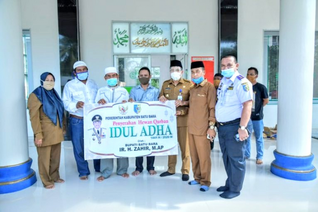 jelang_idul_adha_bupati_batu_bara_serahkan_38_hewan_qurban