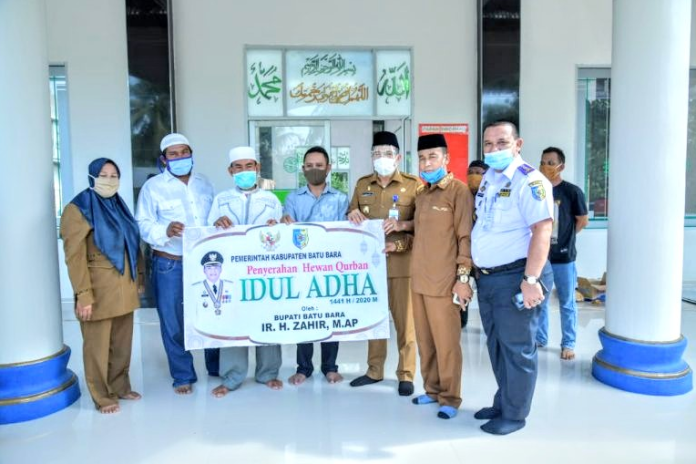 jelang_idul_adha_bupati_batu_bara_serahkan_38_hewan_qurban