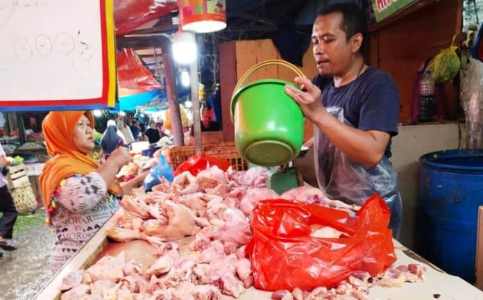 jelang_kemerdekaan_harga_ayam_melonjak_di_siantar_dan_stok_kosong