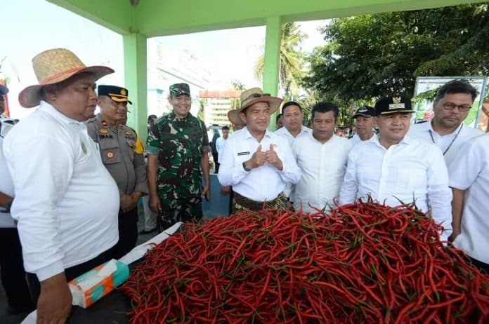 jelang_nataru_2024_pj_gubernur_sumut_sebut_persediaan_cabai_merah_cukup