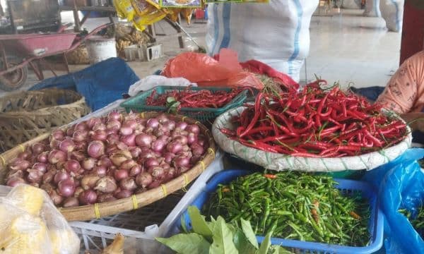 jelang_panen_raya_harga_cabai_dan_bawang_di_porsea_masih_stabil