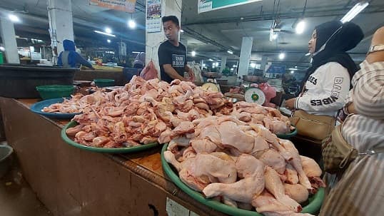 jelang_puasa_harga_ayam_di_medan_turun_rp2000_per_kg