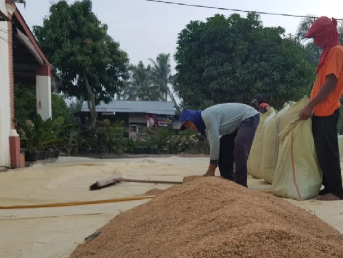 juli_2022_nilai_tukar_petani_di_sumut_anjlok_721_persen