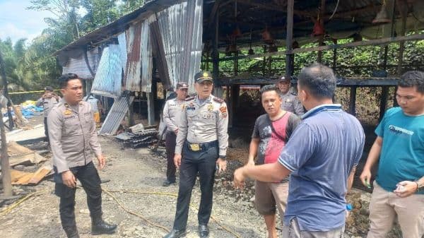 kandang_peternakan_ayam_boiler_di_desa_durian_kondot_sergai_dilahap_si_jago_merah