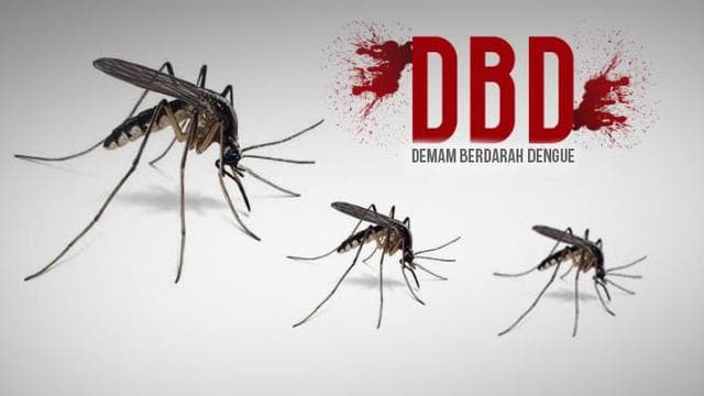 kasus_dbd_meningkat_di_simalungun_dua_bulan_terakhir
