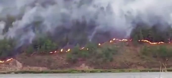 kebakaran_di_perbukitan_danau_toba_telah_padam_dishut_akan_kumpulkan_masyarakat_peduli_api