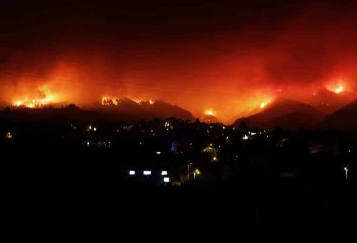 kebakaran_hutan_di_tenerife_spanyol_puluhan_ribu_orang_diungsikan