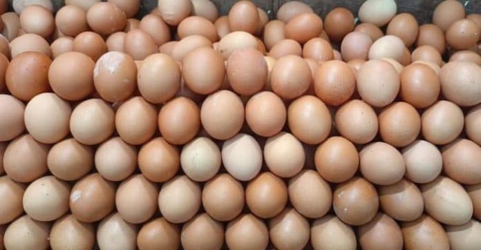 kenaikan_harga_telur_nasional_dipicu_faktor_supply_dan_demand