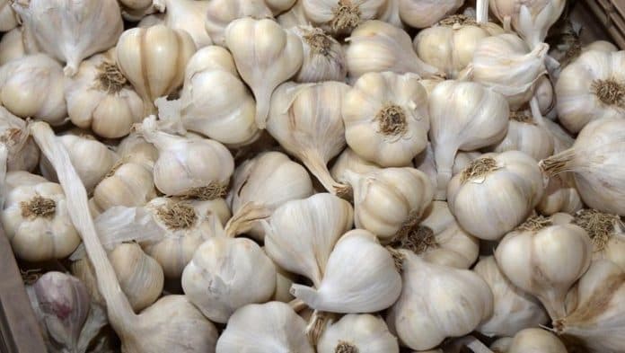 keterbatasan_pasokan_impor_penyebab_harga_bawang_putih_kian_mahal_di_pasaran