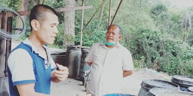 ketua_komisi_b_dprdsu_tertibkan_penderesan_getah_pinus_cv_luhur