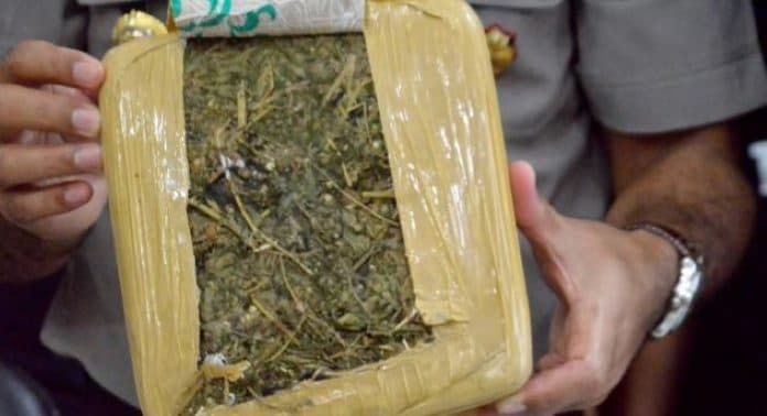 ketua_ppk_wonogiri_kota_ditangkap_polisi_saat_ambil_paket_ganja