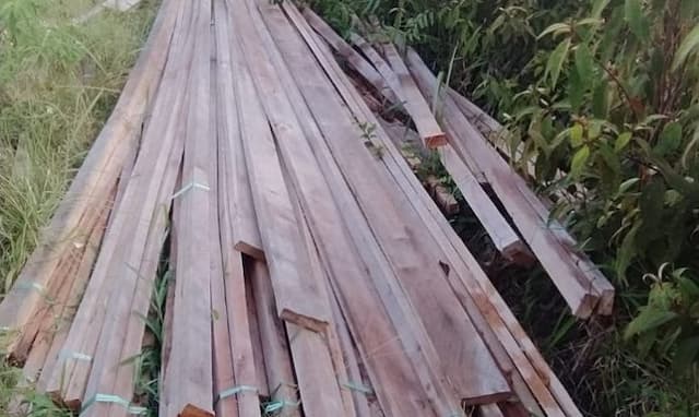 klhk_dan_aph_diminta_tindak_praktik_ilegal_loging_di_dolok_tolong_sumbul_dairi