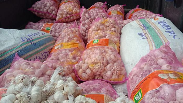 korona_mewabah_impor_bawang_putih_dialihkan_ke_india