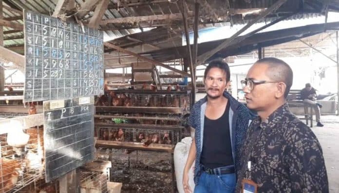 kppu_telusuri_pedagang_hingga_ke_peternak_terkait_kenaikan_harga_telur