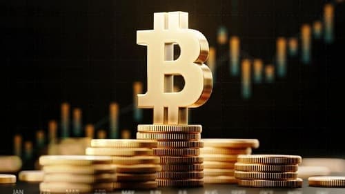 laba_investasi_bitcoin_bangun_rs_hewan_di_el_salvador