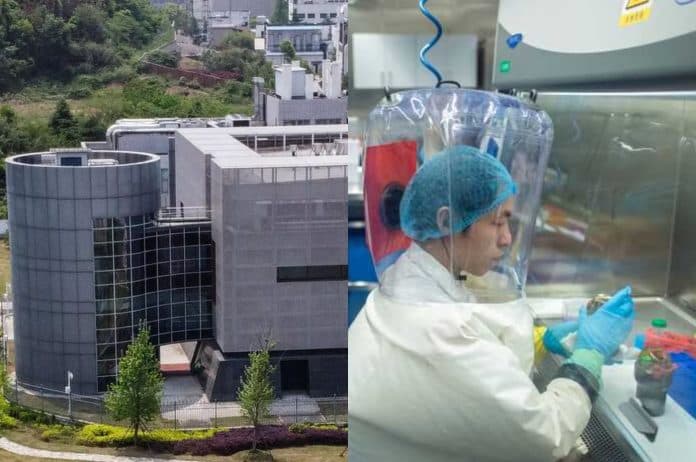 laboratorium_wuhan_akui_simpan_3_jenis_virus_corona