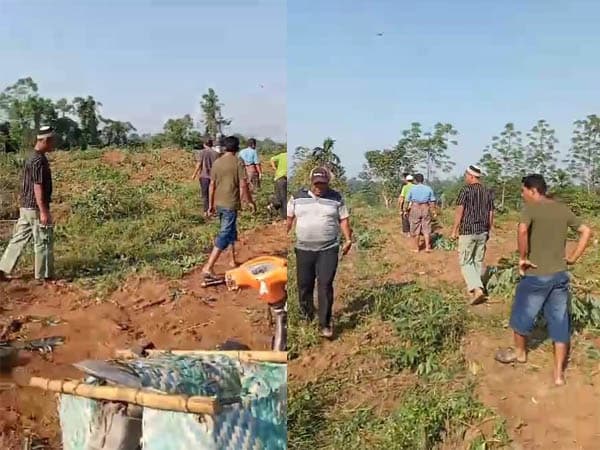 ladang_ubi_warga_di_limau_mungkur_hancur_diduga_dibeko_penambang_galian_c