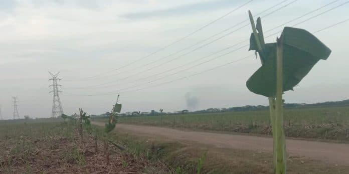 lahan_tebu_ptpn2_hgu_sei_semayang_digarap_warga