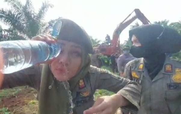 lakukan_perlawanan_penggarap_lahan_ptpn_ii_kunyah_cabai_dan_ludahi_satpol_pp