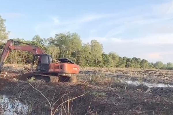 lbh_medan_desak_polisi_tetapkan_tersangka_perambahan_hutan_lindung_di_langkat