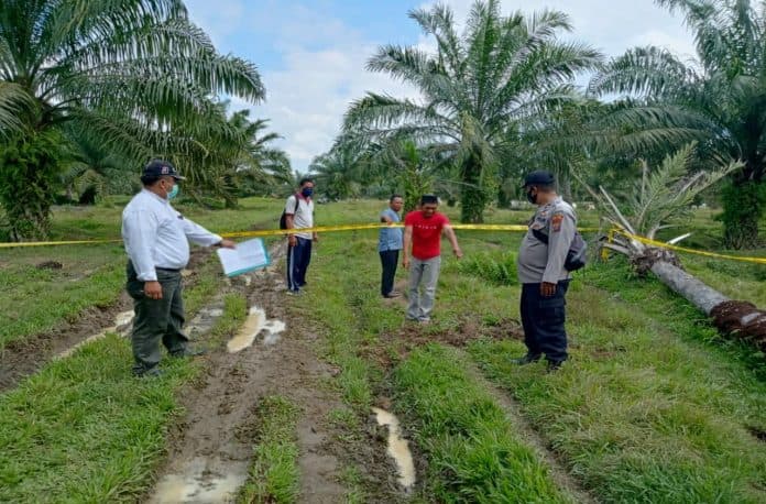 leher_nyaris_putus_buruh_harian_lepas_tewas_terkena_egrek_sendiri