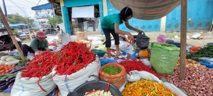 longsor_di_sibolangit_tunda_penurunan_harga_cabai_merah_di_sumut