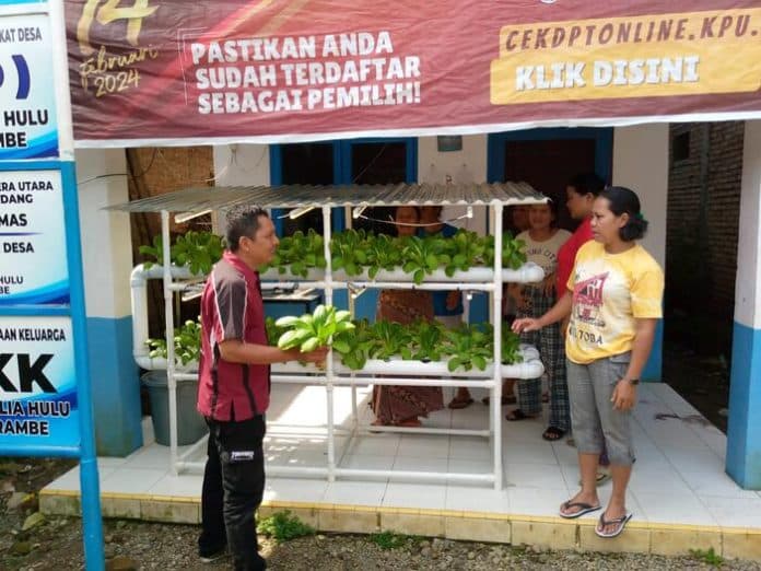 lpk_hidroponik_ajari_warga_menanam_tanpa_tanah_andalkan_sampah