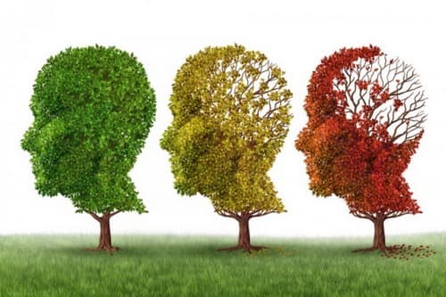 mahasiswa_ugm_ciptakan_e_tongue_untuk_deteksi_penyakit_alzheimer