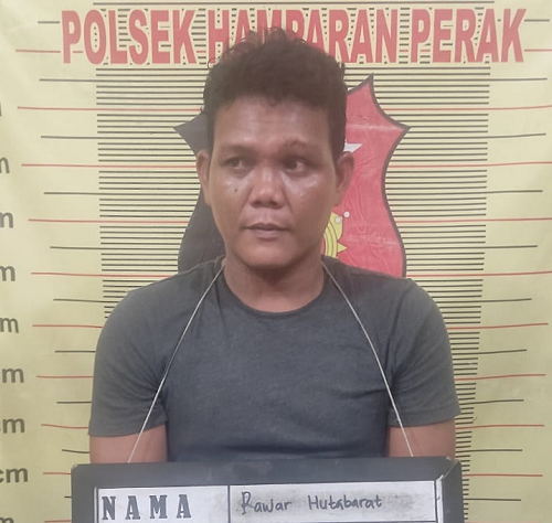 maling_200_lembar_pagar_seng_diringkus_polsek_hamparan_perak