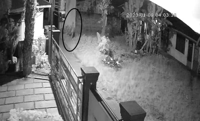 maling_satroni_rumah_di_pasar_vii_tembung_medan_bawa_kabur_uang_puluhan_juta_rupiah