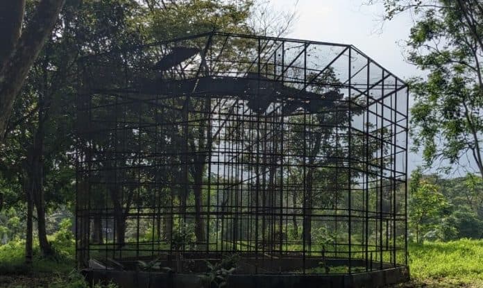 manajemen_segera_renovasi_kandang_kandang_kosong_di_medan_zoo