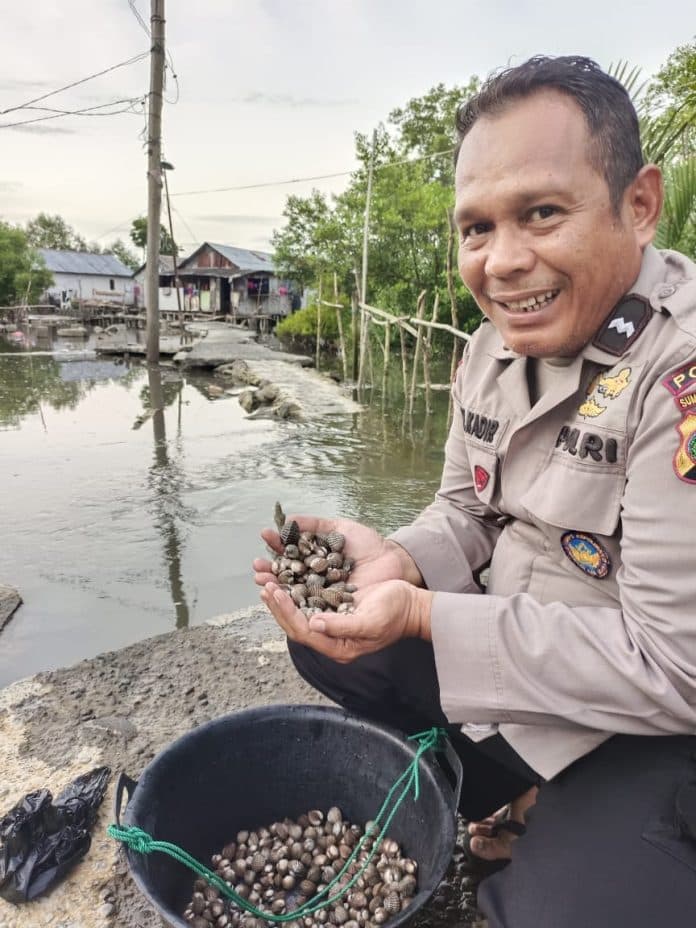 mantap_aipda_abdul_kadhir_sukses_budidaya_kerang_di_medan_dan_tembus_pasar_internasional