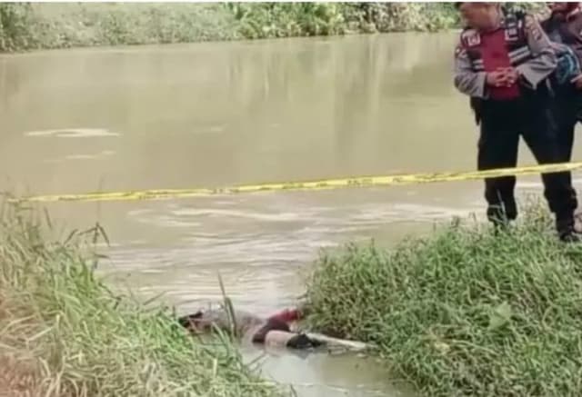 mayat_mr_x_ditemukan_mengapung_di_aliran_sungai_padang_tebing_tinggi
