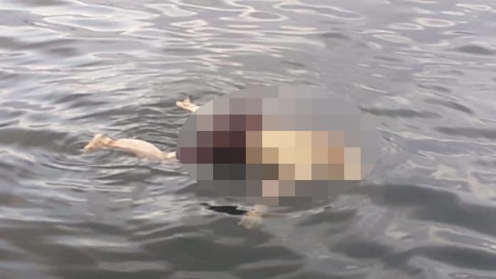 mayat_terapung_di_danau_toba_itu_ternyata_dodi_korban_tenggelam_13_hari_lalu