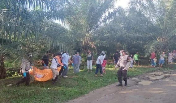 mayat_wanita_ditemukan_membusuk_di_areal_ptpn_iv_kebun_pabatu